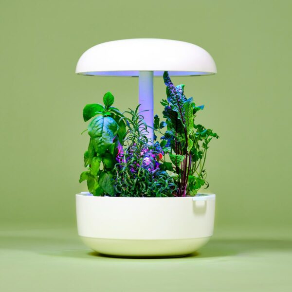 Plantui Smart Garden 6 - arkiyrttipaketti