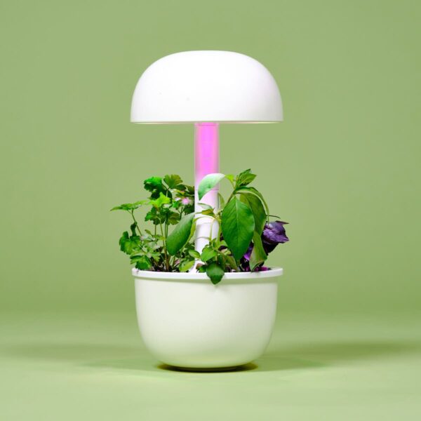 Plantui Smart Garden 3